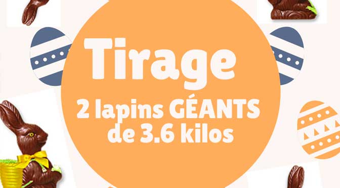 Tirage de lapin en chocolat géant!