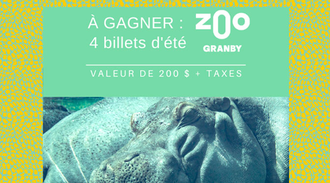 Concours Zoo Granby 2020