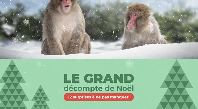 Concours Zoo de Granby Grand décompte de Noël