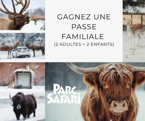 Gagnez une passe familiale au Parc Safari avec Passeport Vacances