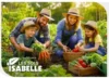la grande récolte en famille gagnez 250$ en produits de jardinage