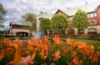 Séjour en fleurs auberge Godefroy
