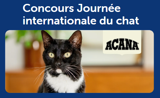 gagnez de la nourriture pour chat avec Mondou