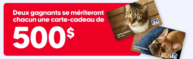 Gagnez l'une des deux cartes-cadeaux Mondou de 500$ grâce au concours Vendredi fou fou