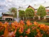 Séjour en fleurs auberge Godefroy