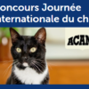gagnez de la nourriture pour chat avec Mondou