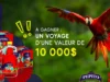 Gagnez 10 000$ applicable au voyage de votre choix auprès de Voyages Satellite grâce à Crave et Pepito Sangria!